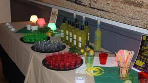 Camping Limone (118)